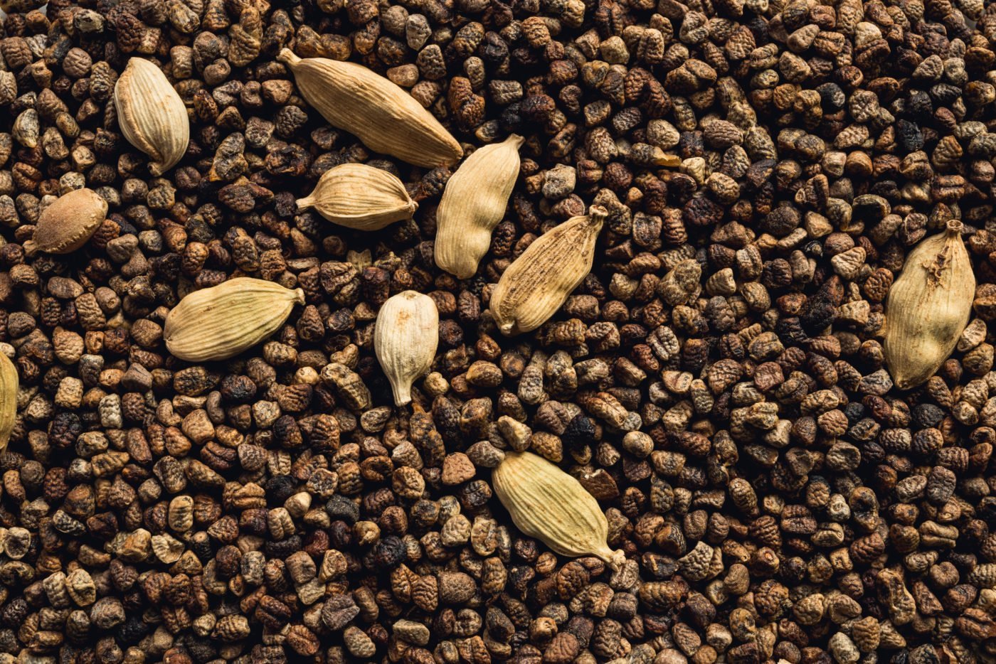 Quali sono i tipi di cardamomo?