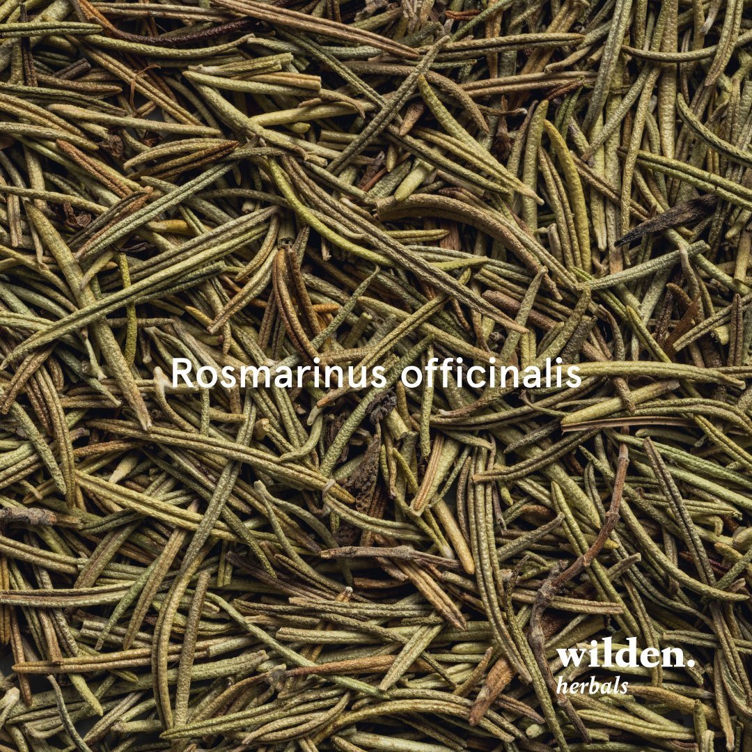 Rosmarino, Rosmarinus officinalis, Spagna – Foglia Rosmarino, Rosmarinus officinalis, Spagna
– Foglia