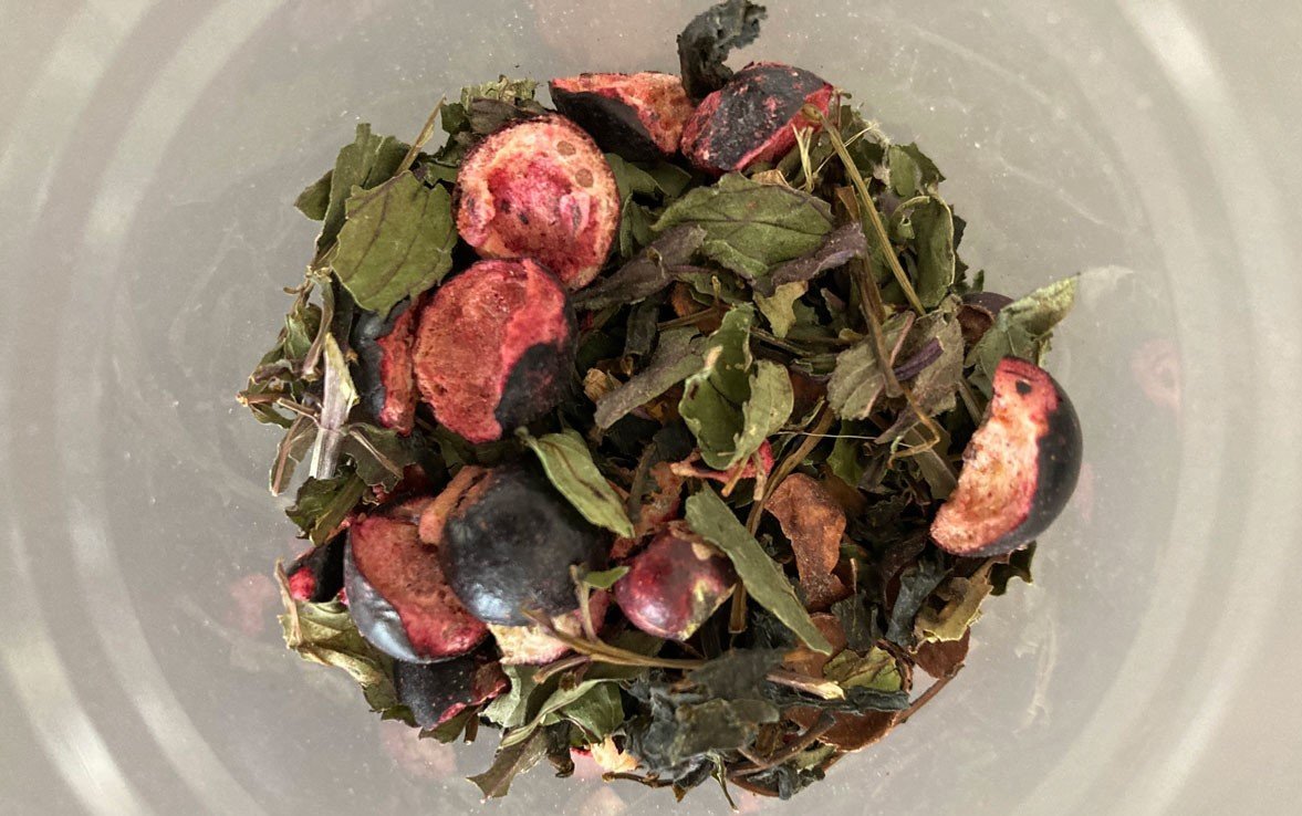 Viaggio di formazione con Wilden.herbals: le esperienze a Casadonna e UNISG