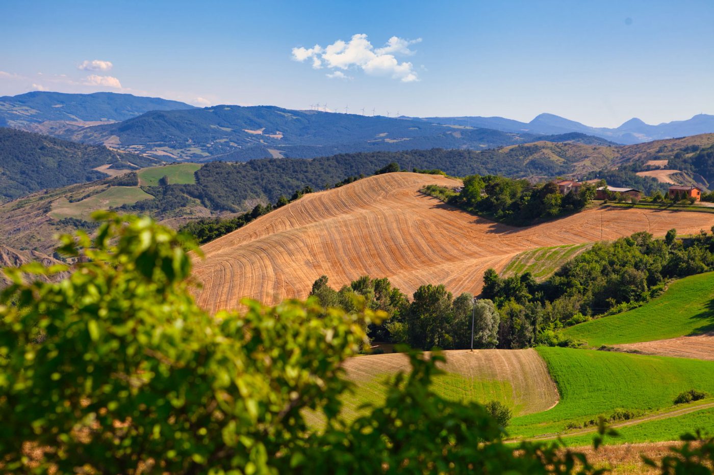 Making Wilden Ritorno alla terra con Good Land Making Wilden Ritorno alla terra con Good Land