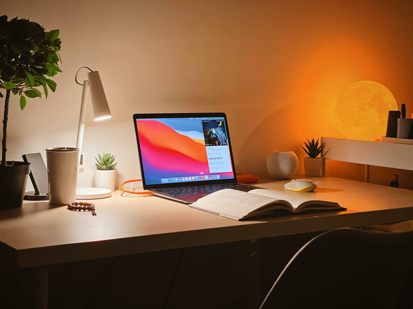 Le tisane per concentrarsi: studio, smartworking, meditazione Le tisane per concentrarsi: studio, smartworking, meditazione